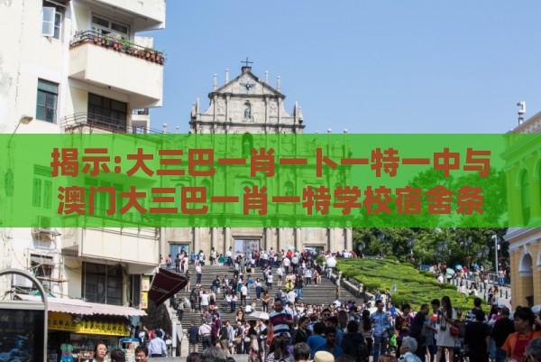 揭示:大三巴一肖一卜一特一中与澳门大三巴一肖一特学校宿舍条件和杜绝虚假诱导词-效率解读、解释与落实