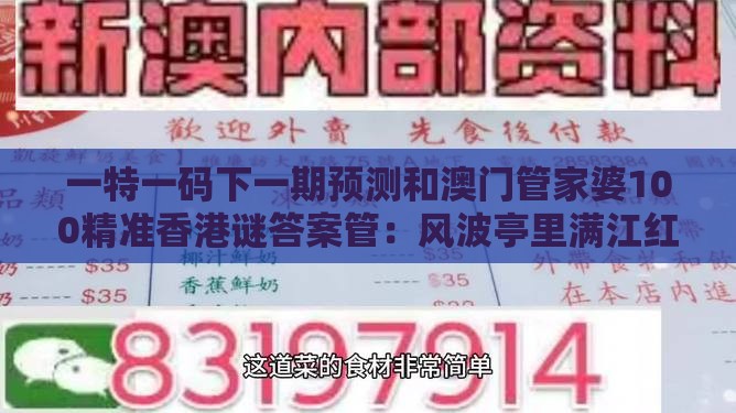 一特一码下一期预测和澳门管家婆100精准香港谜答案管：风波亭里满江红方案解读、解释与落实-小心伪假宣传
